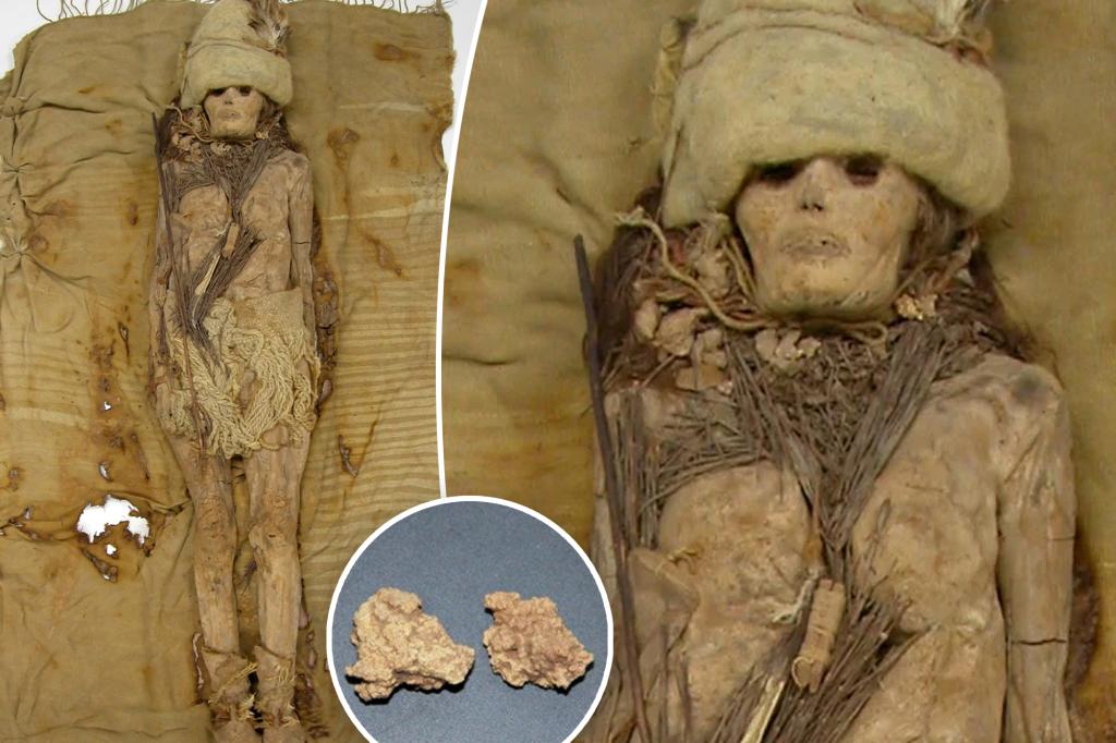 DNA from the world's oldest cheese extracted from an unusual source - mummies