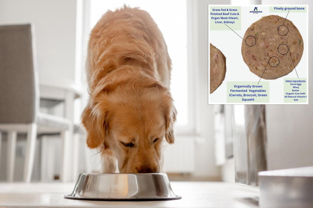 Popular pet brand recalls dog food after kibble tests positive for listeria, salmonella